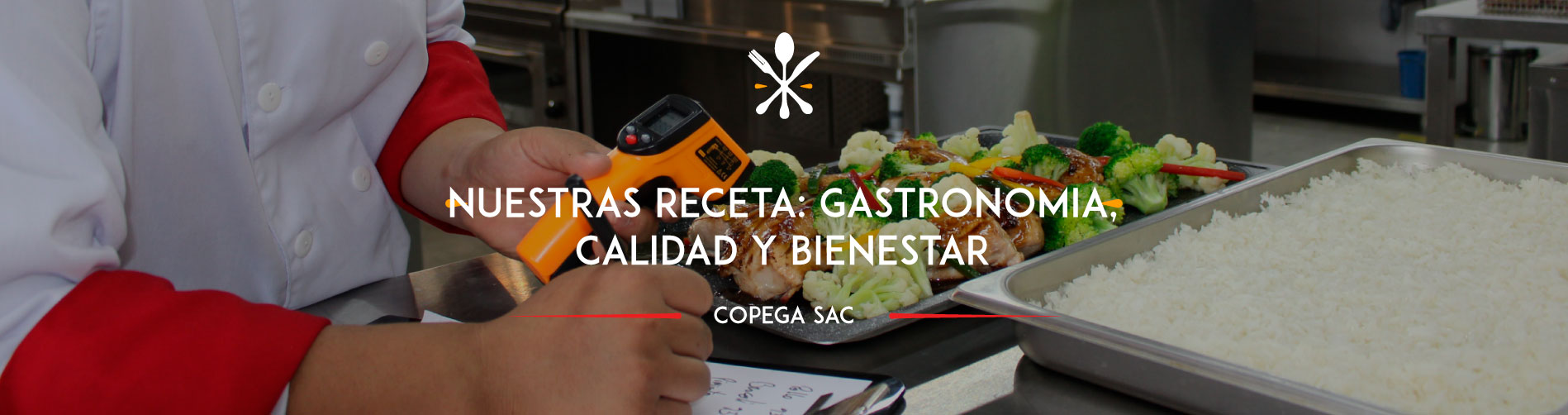 Soluciones alimentarias